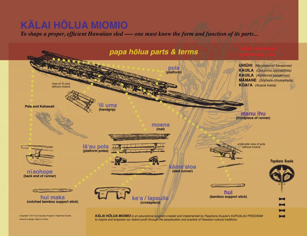 PKholuaPOSTER011014