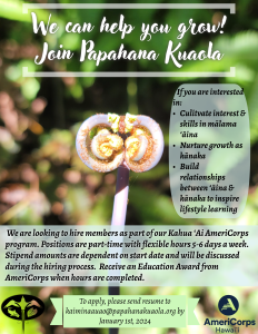 kahua ai (2)