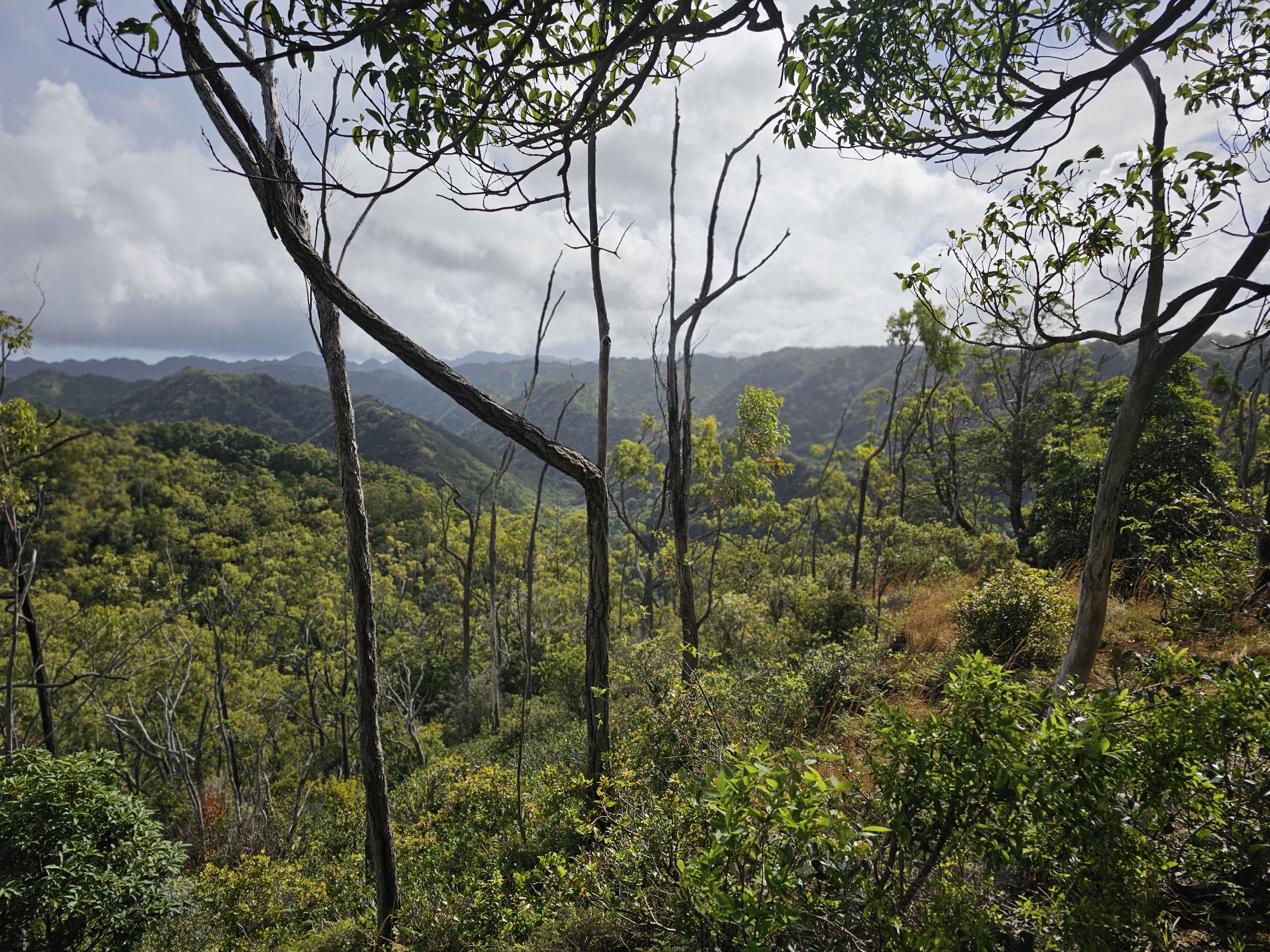 Manana Hike